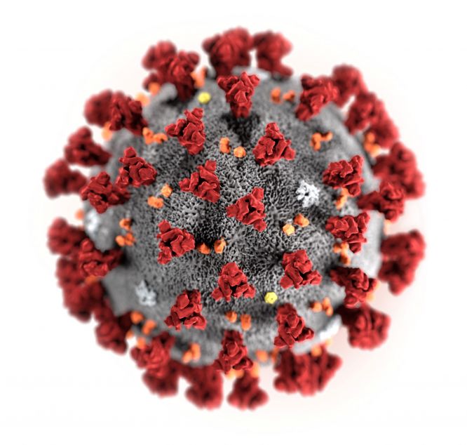 Protection rapide et prolongée des patients sévèrement immunodéprimés (IS) contre les infections liées aux variants du Sars-COV 2